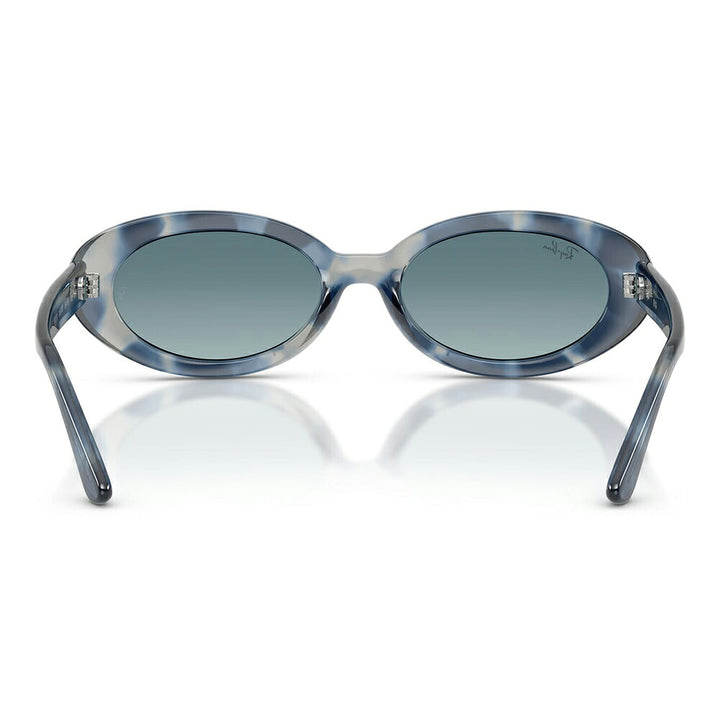【正規品販売店】レイバン サングラス RB2223F 14503M 54 Ray-Ban レイバン純正レンズ対応 オーバル セル フルフィット ユニセックス