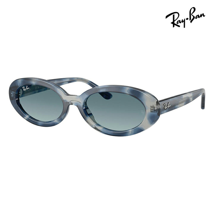 【正規品販売店】レイバン サングラス RB2223F 14503M 54 Ray-Ban レイバン純正レンズ対応 オーバル セル フルフィット ユニセックス