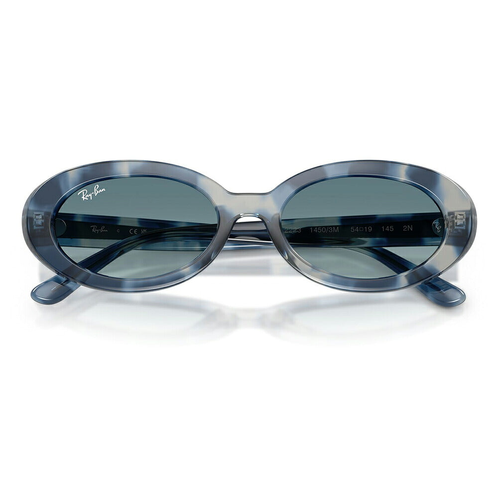 【正規品販売店】レイバン サングラス RB2223F 14503M 54 Ray-Ban レイバン純正レンズ対応 オーバル セル フルフィット ユニセックス