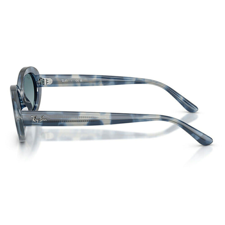 【正規品販売店】レイバン サングラス RB2223F 14503M 54 Ray-Ban レイバン純正レンズ対応 オーバル セル フルフィット ユニセックス