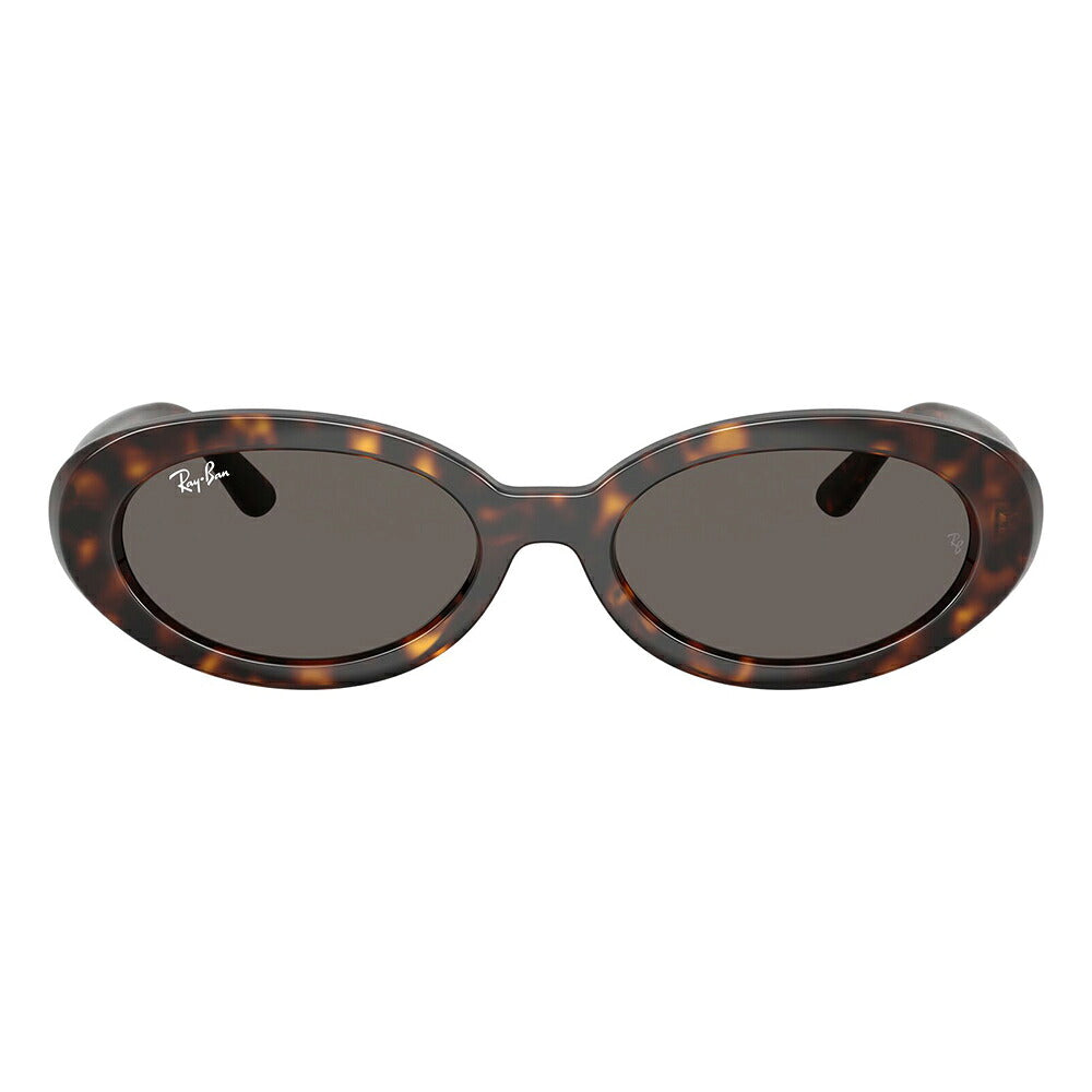 【正規品販売店】レイバン サングラス RB2223F 902/B1 54 Ray-Ban レイバン純正レンズ対応 オーバル セル フルフィット ユニセックス