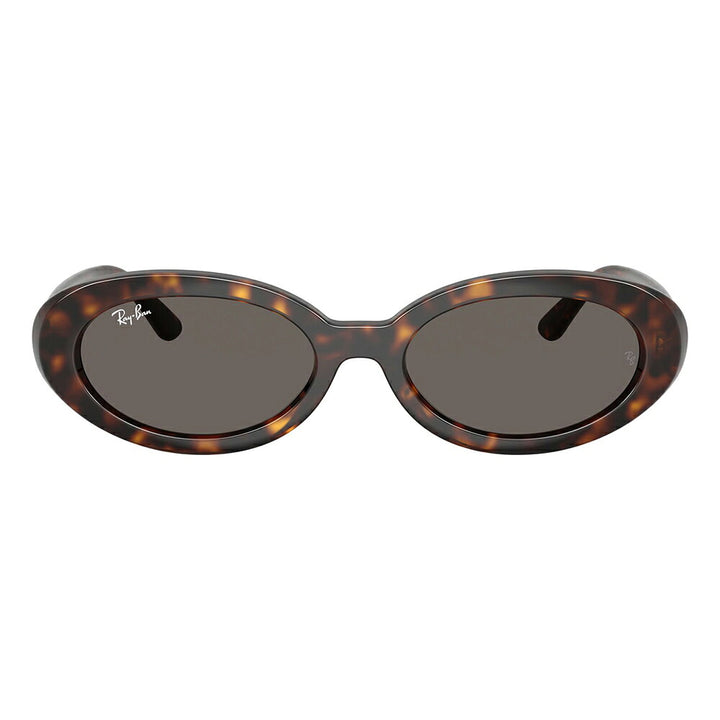 【正規品販売店】レイバン サングラス RB2223F 902/B1 54 Ray-Ban レイバン純正レンズ対応 オーバル セル フルフィット ユニセックス