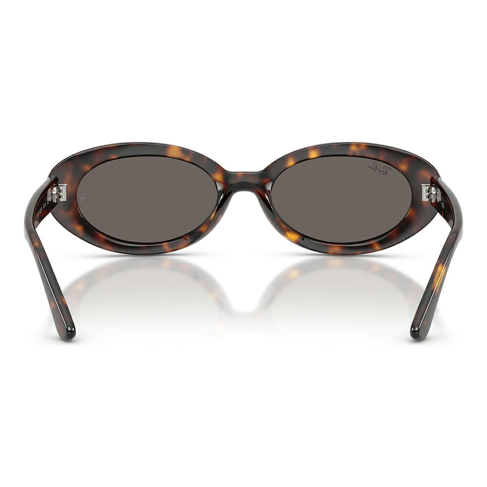 【正規品販売店】レイバン サングラス RB2223F 902/B1 54 Ray-Ban レイバン純正レンズ対応 オーバル セル フルフィット ユニセックス