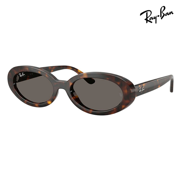 【正規品販売店】レイバン サングラス RB2223F 902/B1 54 Ray-Ban レイバン純正レンズ対応 オーバル セル フルフィット ユニセックス