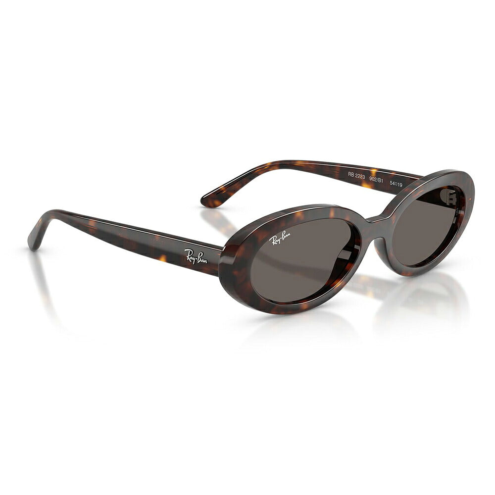 【正規品販売店】レイバン サングラス RB2223F 902/B1 54 Ray-Ban レイバン純正レンズ対応 オーバル セル フルフィット ユニセックス