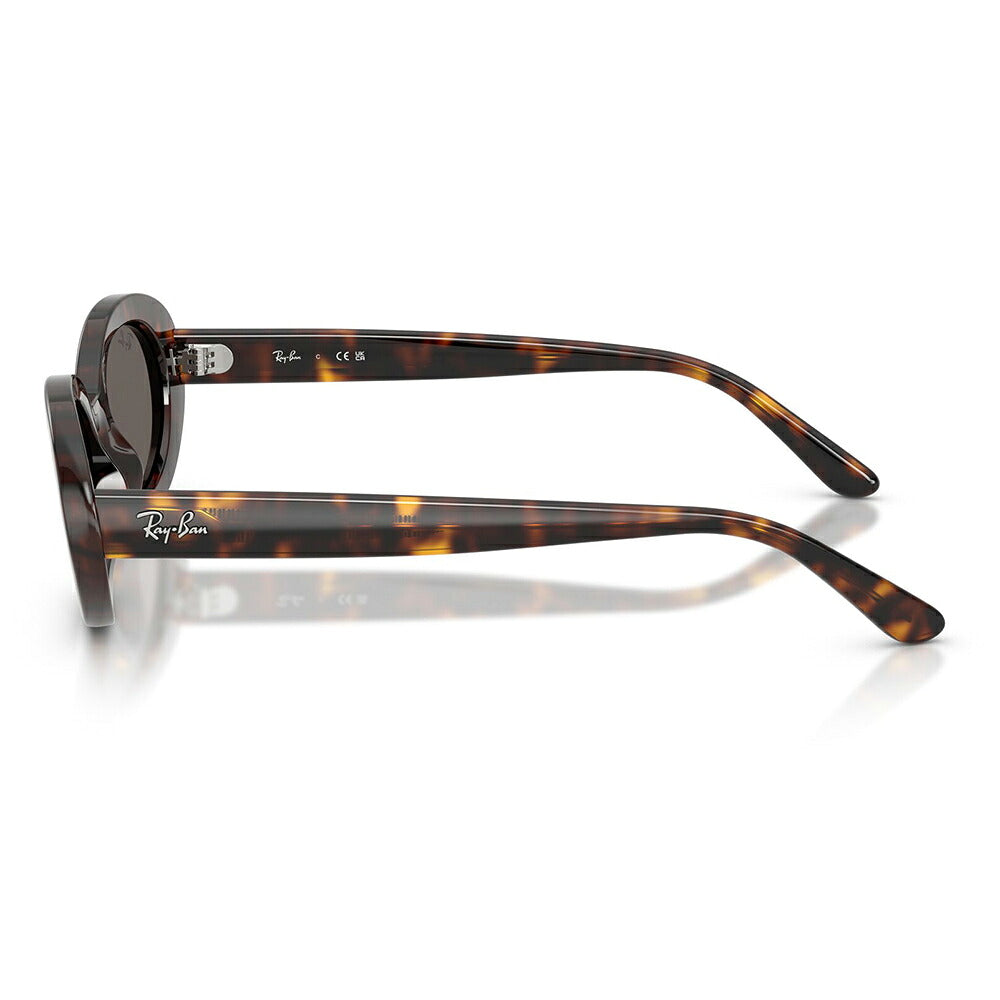 【正規品販売店】レイバン サングラス RB2223F 902/B1 54 Ray-Ban レイバン純正レンズ対応 オーバル セル フルフィット ユニセックス