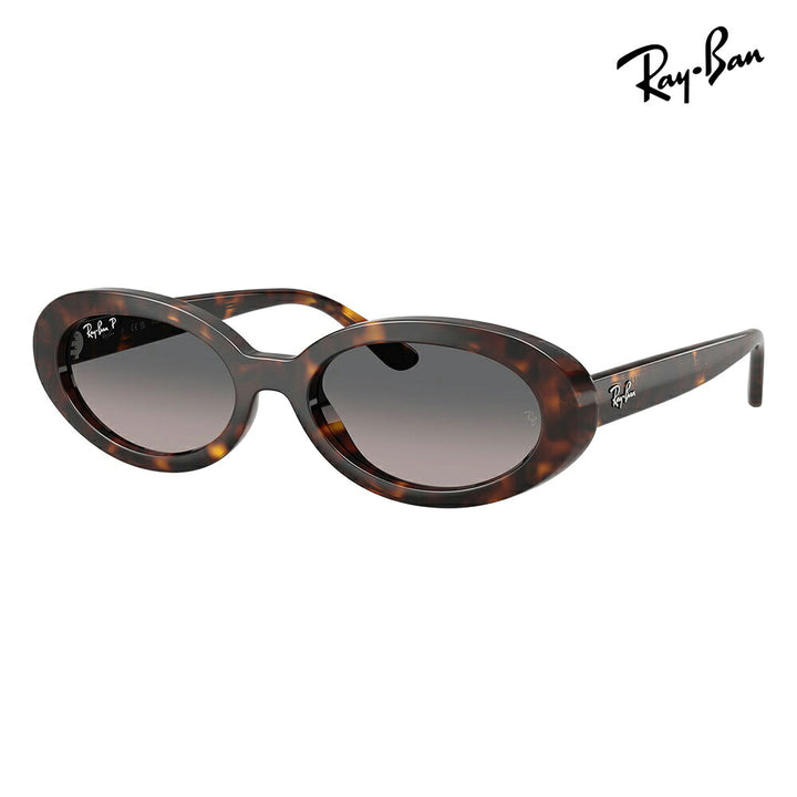【正規品販売店】レイバン サングラス RB2223F 902/M3 54 Ray-Ban レイバン純正レンズ対応 オーバル セル フルフィット ユニセックス 偏光