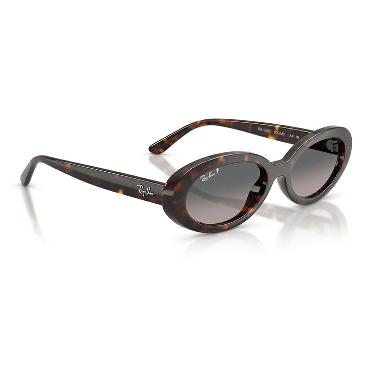 【正規品販売店】レイバン サングラス RB2223F 902/M3 54 Ray-Ban レイバン純正レンズ対応 オーバル セル フルフィット ユニセックス 偏光