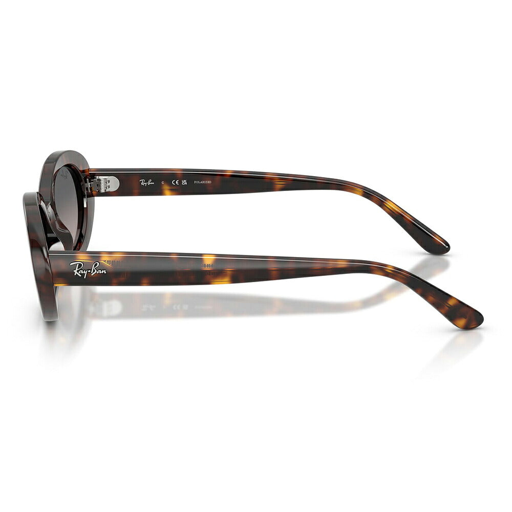 【正規品販売店】レイバン サングラス RB2223F 902/M3 54 Ray-Ban レイバン純正レンズ対応 オーバル セル フルフィット ユニセックス 偏光