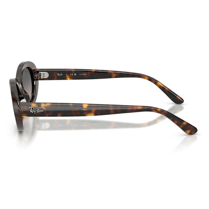 【正規品販売店】レイバン サングラス RB2223F 902/M3 54 Ray-Ban レイバン純正レンズ対応 オーバル セル フルフィット ユニセックス 偏光
