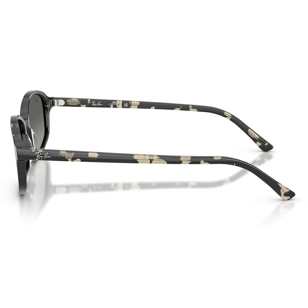 【正規品販売店】レイバン サングラス RB2232F 133371 54 Ray-Ban レイバン純正レンズ対応  MINIMAL ACETATES ミニマルアセテート SAM サム 多角形 セル