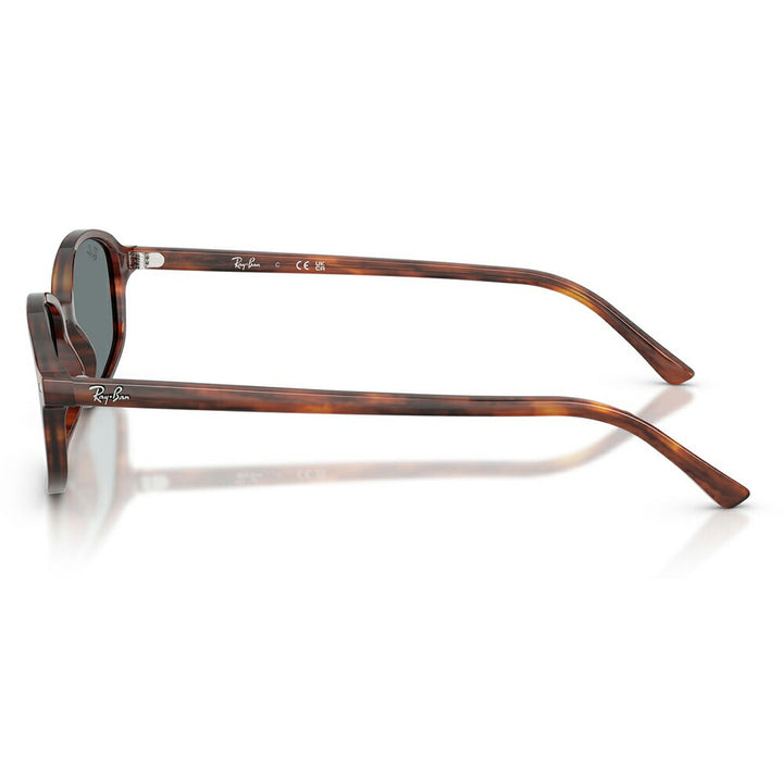 【正規品販売店】レイバン サングラス RB2232F 954/62 54 Ray-Ban レイバン純正レンズ対応  MINIMAL ACETATES ミニマルアセテート SAM サム 多角形 セル
