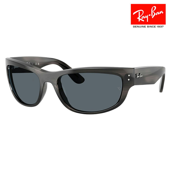 【正規品販売店】レイバン サングラス RB2289 1404R5 60 63 Ray-Ban MEGA BALORAMA レクタングル セル ユニセックス