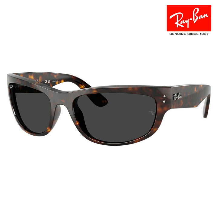 【正規品販売店】レイバン サングラス RB2289 902/48 60 63 Ray-Ban MEGA BALORAMA レクタングル セル ユニセックス 偏光