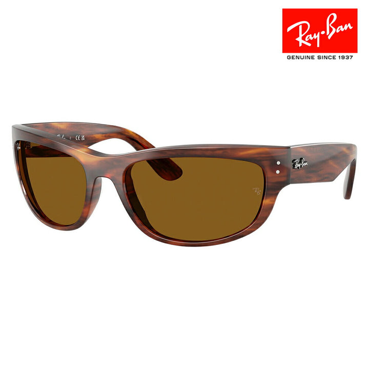 【正規品販売店】レイバン サングラス RB2289 954/33 60 63 Ray-Ban MEGA BALORAMA レクタングル セル ユニセックス