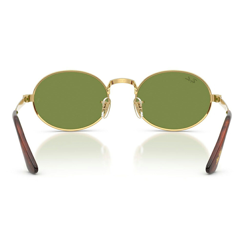 【正規品販売店】レイバン サングラス RB3931 001/4E 54 Ray-Ban A$AP WORLDWIDE エイサップワールドワイルド オーバル メタル