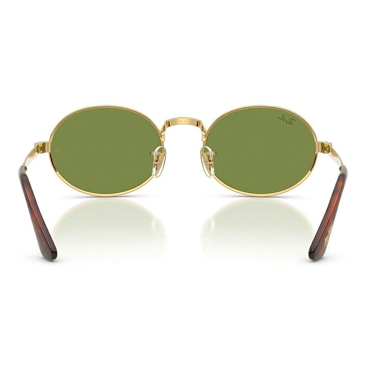 【正規品販売店】レイバン サングラス RB3931 001/4E 54 Ray-Ban A$AP WORLDWIDE エイサップワールドワイルド オーバル メタル
