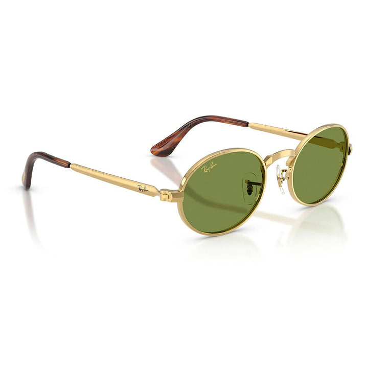 【正規品販売店】レイバン サングラス RB3931 001/4E 54 Ray-Ban A$AP WORLDWIDE エイサップワールドワイルド オーバル メタル