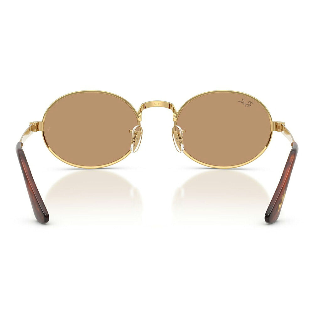 【正規品販売店】レイバン サングラス RB3931 001/53 54 Ray-Ban A$AP WORLDWIDE エイサップワールドワイルド オーバル メタル