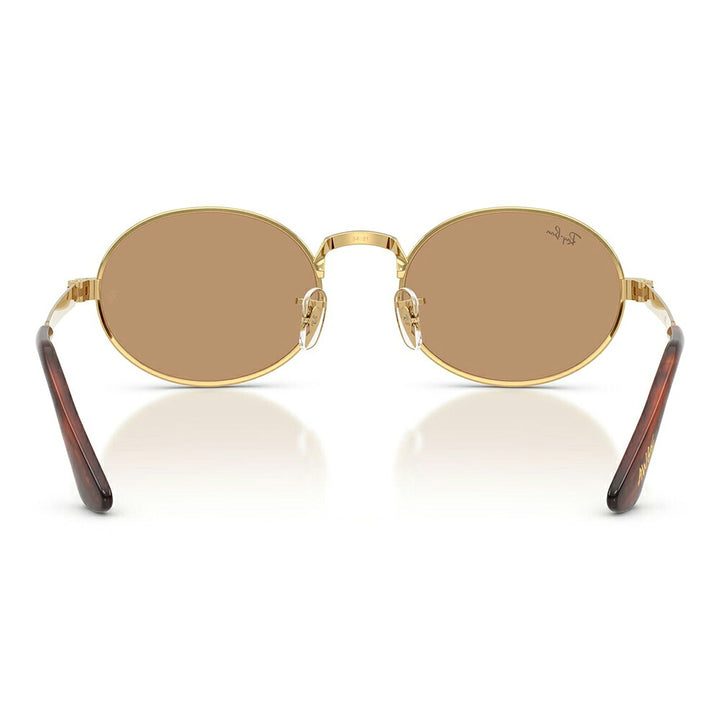 【正規品販売店】レイバン サングラス RB3931 001/53 54 Ray-Ban A$AP WORLDWIDE エイサップワールドワイルド オーバル メタル
