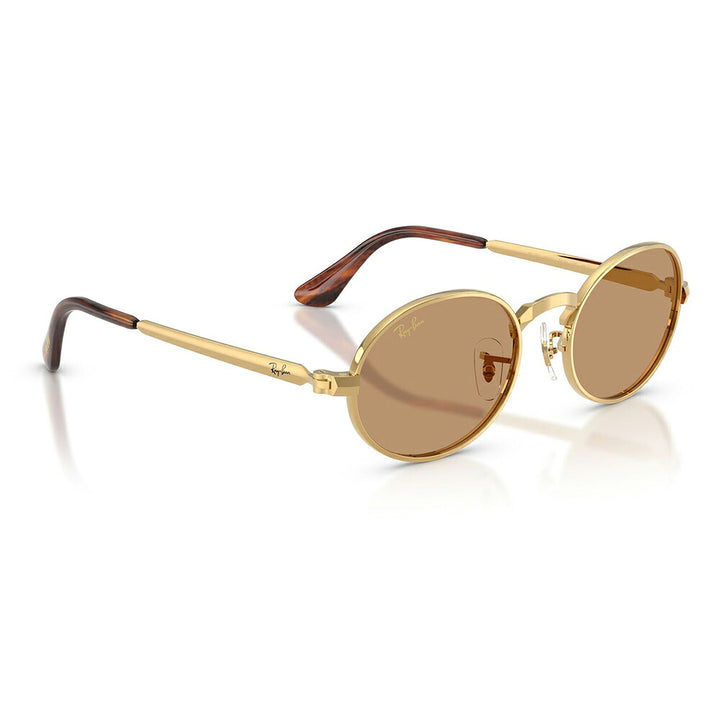 【正規品販売店】レイバン サングラス RB3931 001/53 54 Ray-Ban A$AP WORLDWIDE エイサップワールドワイルド オーバル メタル