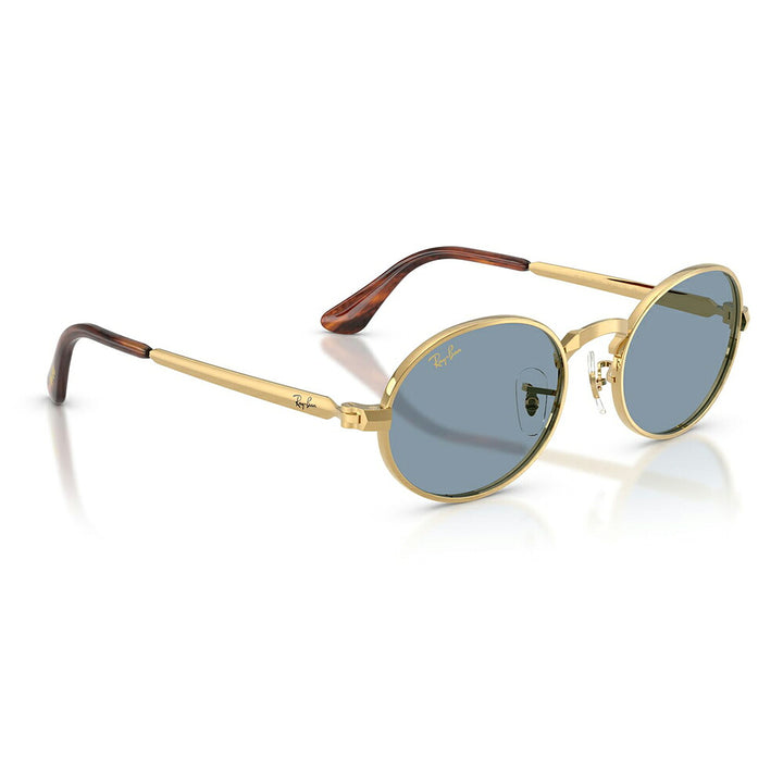 【正規品販売店】レイバン サングラス RB3931 001/56 54 Ray-Ban A$AP WORLDWIDE エイサップワールドワイルド オーバル メタル