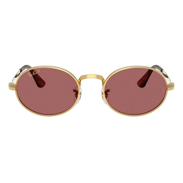 【正規品販売店】レイバン サングラス RB3931 001/AF 54 Ray-Ban A$AP WORLDWIDE エイサップワールドワイルド オーバル メタル 偏光