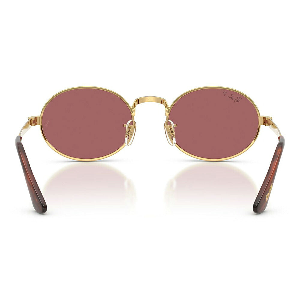 【正規品販売店】レイバン サングラス RB3931 001/AF 54 Ray-Ban A$AP WORLDWIDE エイサップワールドワイルド オーバル メタル 偏光
