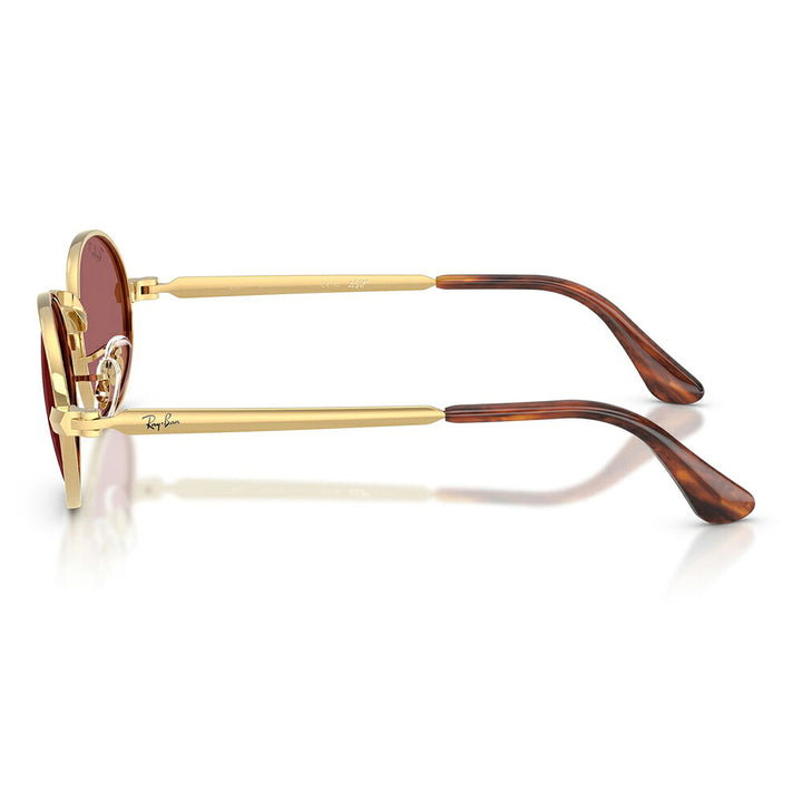 【正規品販売店】レイバン サングラス RB3931 001/AF 54 Ray-Ban A$AP WORLDWIDE エイサップワールドワイルド オーバル メタル 偏光