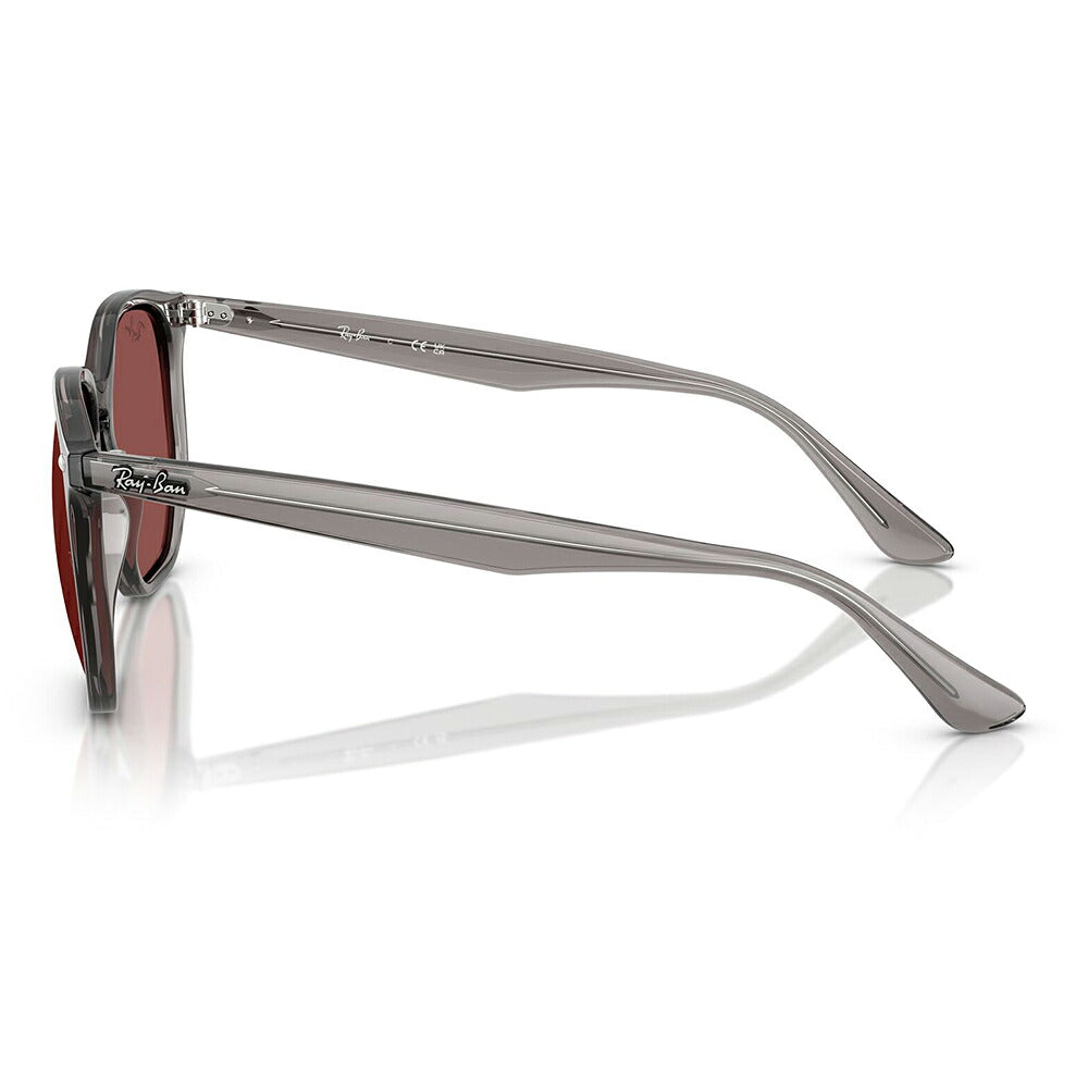【正規品販売店】レイバン サングラス RB4306 687375 54 Ray-Ban ヘキサゴナル ヘキサゴン セル ユニセックス