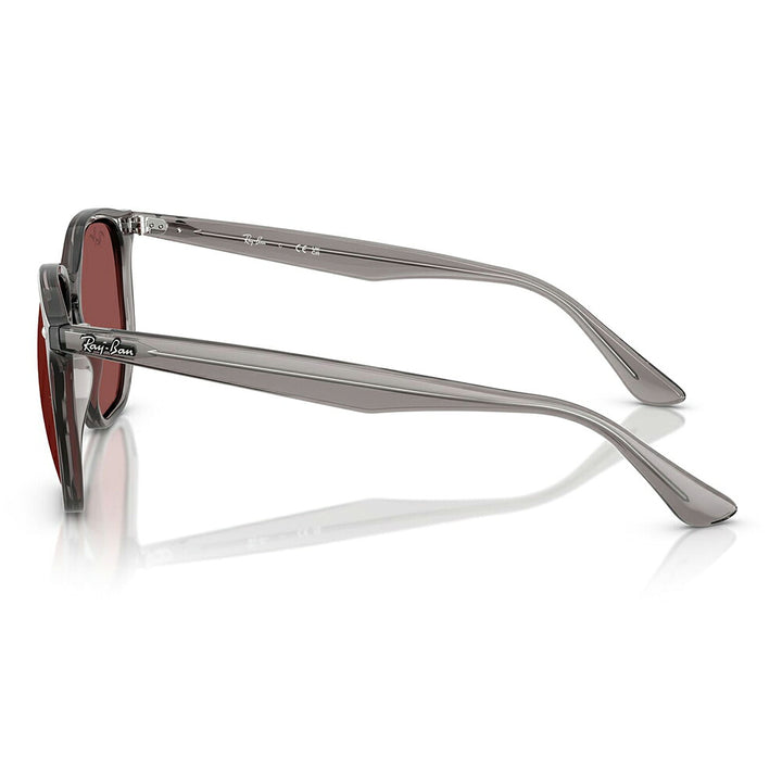 【正規品販売店】レイバン サングラス RB4306 687375 54 Ray-Ban ヘキサゴナル ヘキサゴン セル ユニセックス
