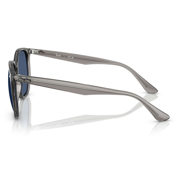 【正規品販売店】レイバン サングラス RB4306 687380 54 Ray-Ban ヘキサゴナル ヘキサゴン セル ユニセックス