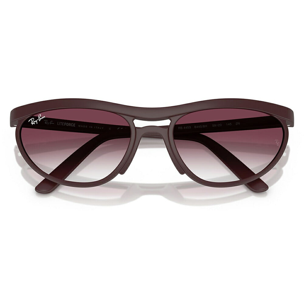 【正規品販売店】レイバン サングラス RB4453 64458H 59 Ray-Ban レイバン純正レンズ対応 Predator プレデター ダブルブリッジ ラウンド セル ユニセックス