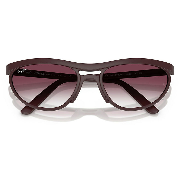【正規品販売店】レイバン サングラス RB4453 64458H 59 Ray-Ban レイバン純正レンズ対応 Predator プレデター ダブルブリッジ ラウンド セル ユニセックス
