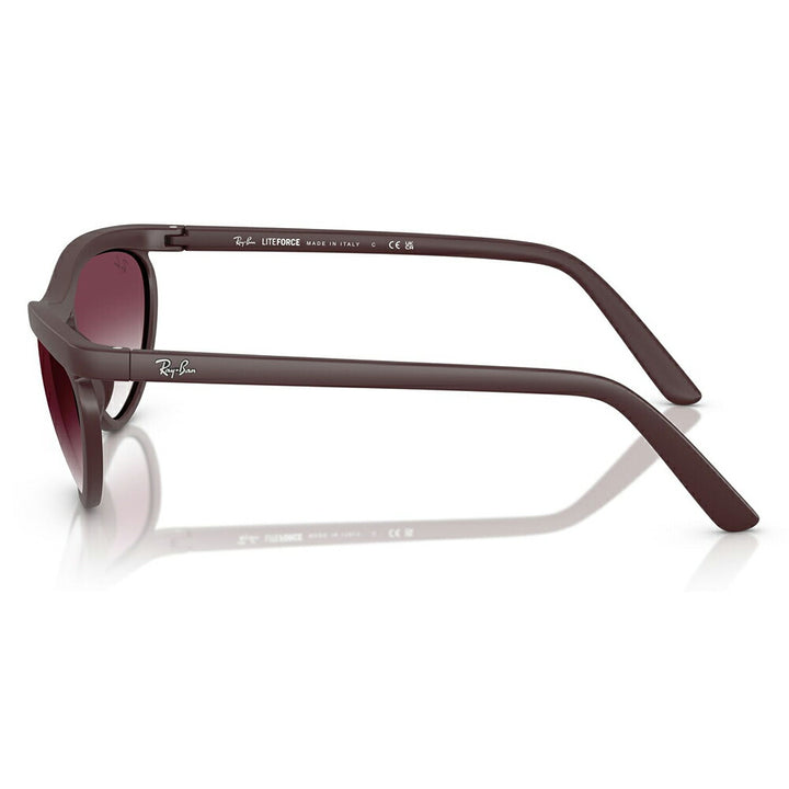 【正規品販売店】レイバン サングラス RB4453 64458H 59 Ray-Ban レイバン純正レンズ対応 Predator プレデター ダブルブリッジ ラウンド セル ユニセックス