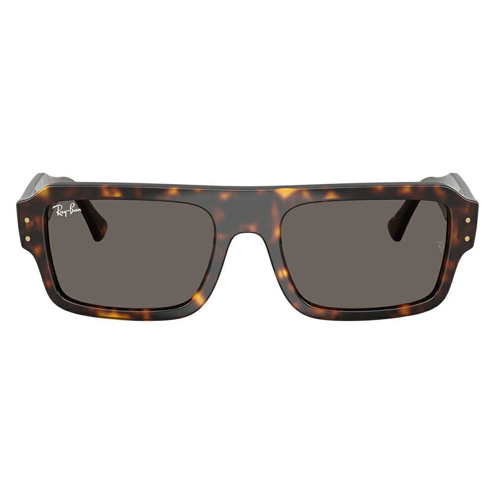 【正規品販売店】レイバン サングラス RB4454F 1359B1 53 Ray-Ban レイバン純正レンズ対応 Predator プレデター ダブルブリッジ ラウンド セル ユニセックス