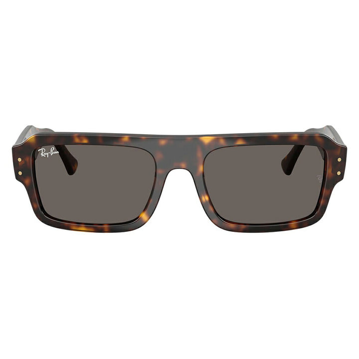 【正規品販売店】レイバン サングラス RB4454F 1359B1 53 Ray-Ban レイバン純正レンズ対応 Predator プレデター ダブルブリッジ ラウンド セル ユニセックス