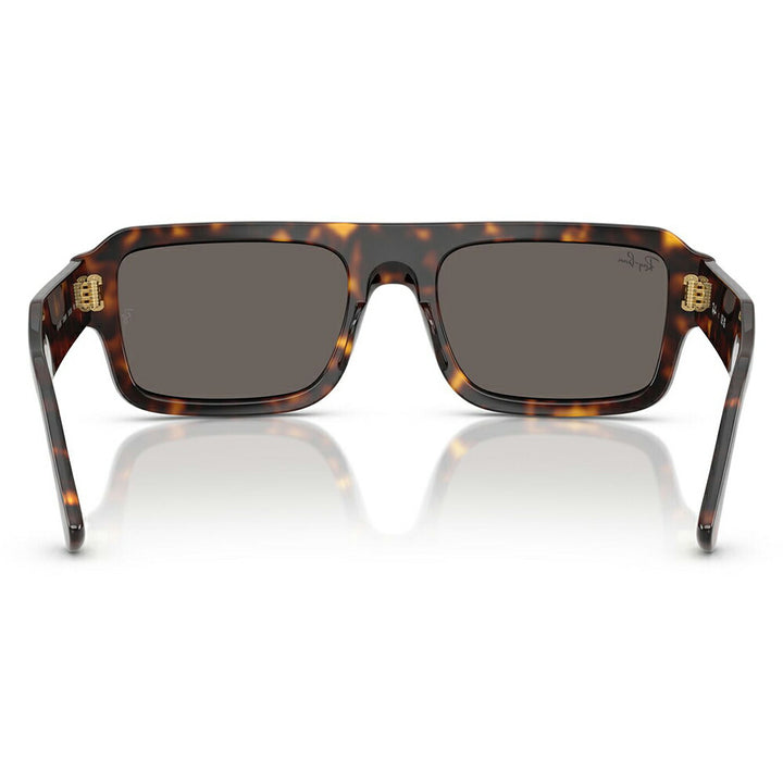 【正規品販売店】レイバン サングラス RB4454F 1359B1 53 Ray-Ban レイバン純正レンズ対応 Predator プレデター ダブルブリッジ ラウンド セル ユニセックス