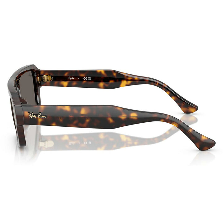 【正規品販売店】レイバン サングラス RB4454F 1359B1 53 Ray-Ban レイバン純正レンズ対応 Predator プレデター ダブルブリッジ ラウンド セル ユニセックス