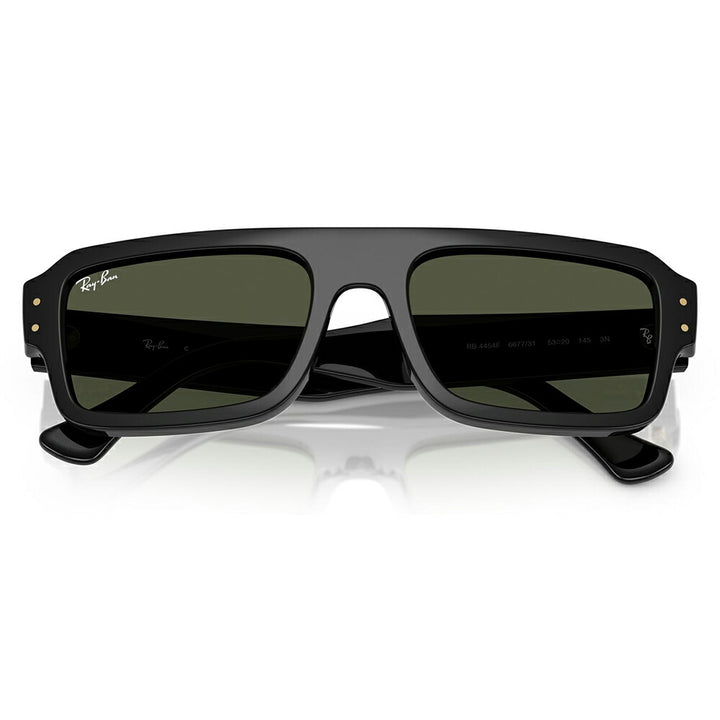 【正規品販売店】レイバン サングラス RB4454F 667731 53 Ray-Ban レイバン純正レンズ対応 Predator プレデター ダブルブリッジ ラウンド セル ユニセックス