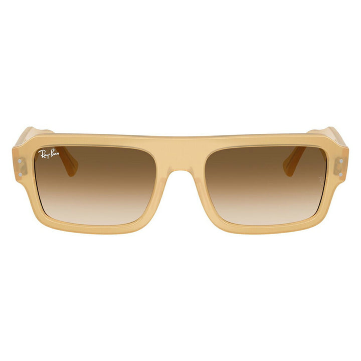 【正規品販売店】レイバン サングラス RB4454F 680651 53 Ray-Ban レイバン純正レンズ対応 Predator プレデター ダブルブリッジ ラウンド セル ユニセックス