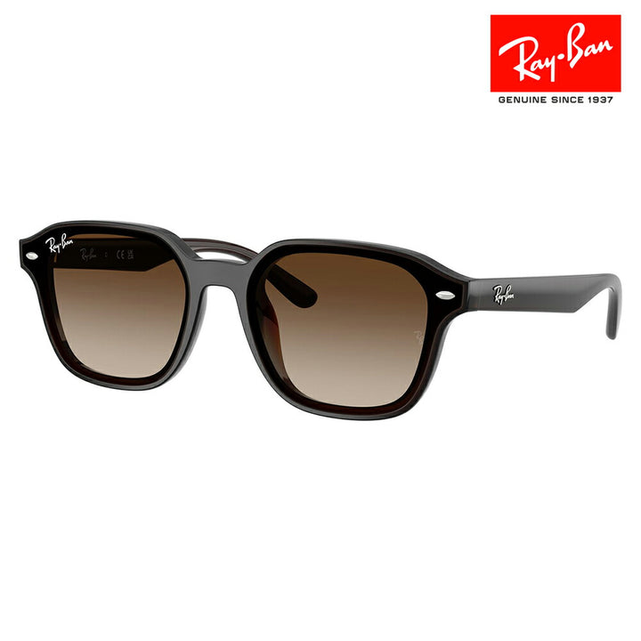 【正規品販売店】レイバンサングラス RB4458D 714/13 65 Ray-Ban レイバン純正レンズ対応 スクエア セル ユニセックス 伊達メガネ 眼鏡