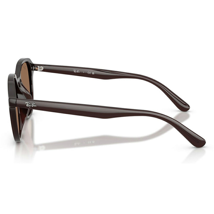 【正規品販売店】レイバンサングラス RB4459D 623173 54 Ray-Ban レイバン純正レンズ対応 ラウンド セル ユニセックス 伊達メガネ 眼鏡