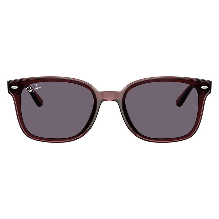 【正規品販売店】レイバンサングラス RB4461D 659373 64 Ray-Ban レイバン純正レンズ対応 レクタングル セル ユニセックス 伊達メガネ 眼鏡