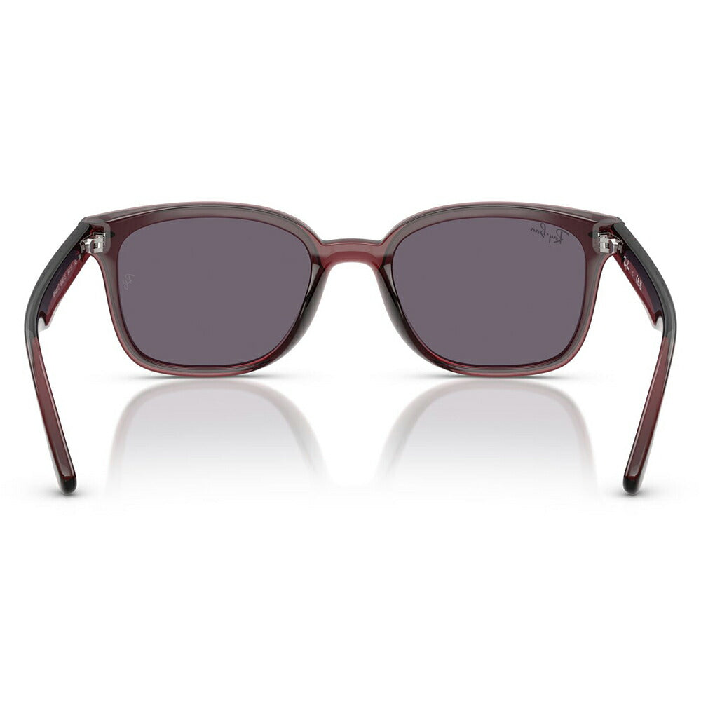 【正規品販売店】レイバンサングラス RB4461D 659373 64 Ray-Ban レイバン純正レンズ対応 レクタングル セル ユニセックス 伊達メガネ 眼鏡