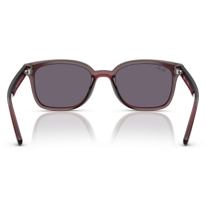 【正規品販売店】レイバンサングラス RB4461D 659373 64 Ray-Ban レイバン純正レンズ対応 レクタングル セル ユニセックス 伊達メガネ 眼鏡