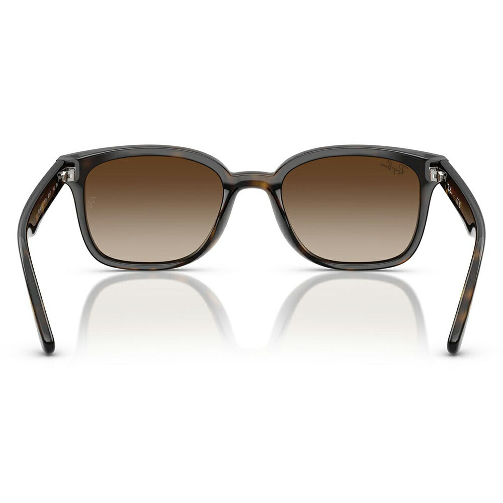 【正規品販売店】レイバンサングラス RB4461D 710/13 64 Ray-Ban レイバン純正レンズ対応 レクタングル セル ユニセックス 伊達メガネ 眼鏡