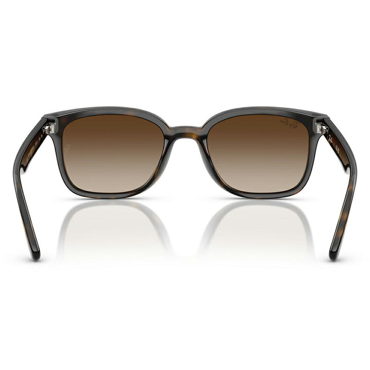 【正規品販売店】レイバンサングラス RB4461D 710/13 64 Ray-Ban レイバン純正レンズ対応 レクタングル セル ユニセックス 伊達メガネ 眼鏡