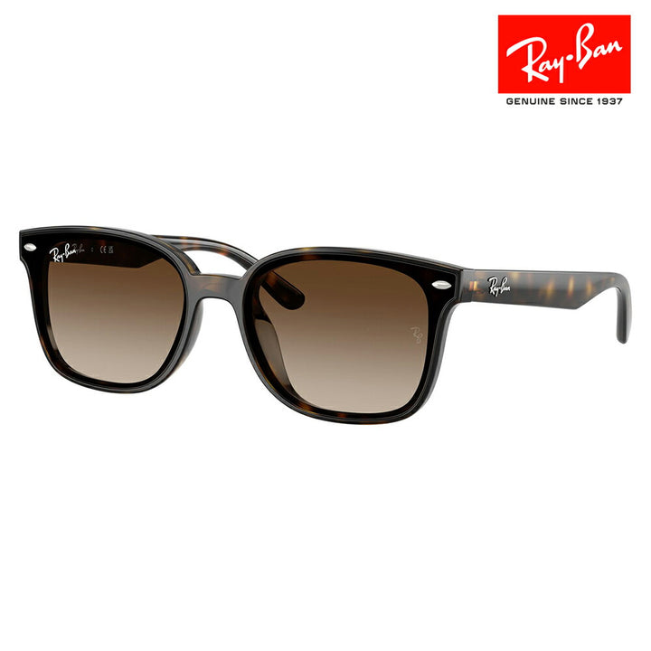 【正規品販売店】レイバンサングラス RB4461D 710/13 64 Ray-Ban レイバン純正レンズ対応 レクタングル セル ユニセックス 伊達メガネ 眼鏡