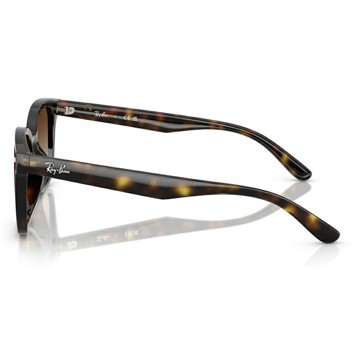 【正規品販売店】レイバンサングラス RB4461D 710/13 64 Ray-Ban レイバン純正レンズ対応 レクタングル セル ユニセックス 伊達メガネ 眼鏡